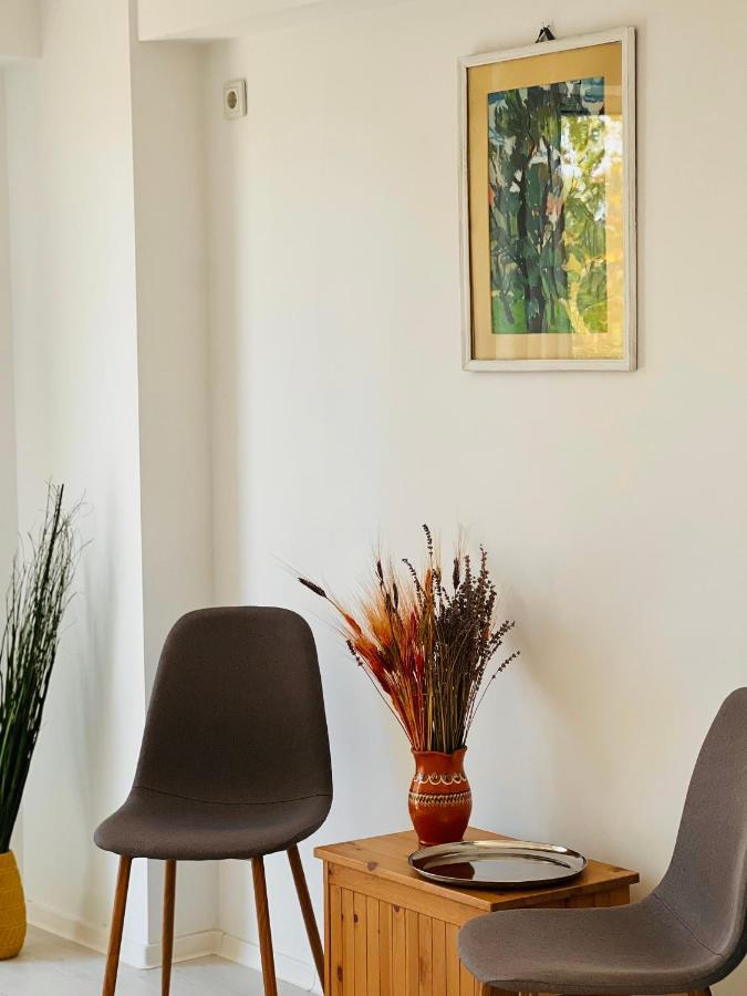 The Airport Loft Apartment Otopeni Exterior foto